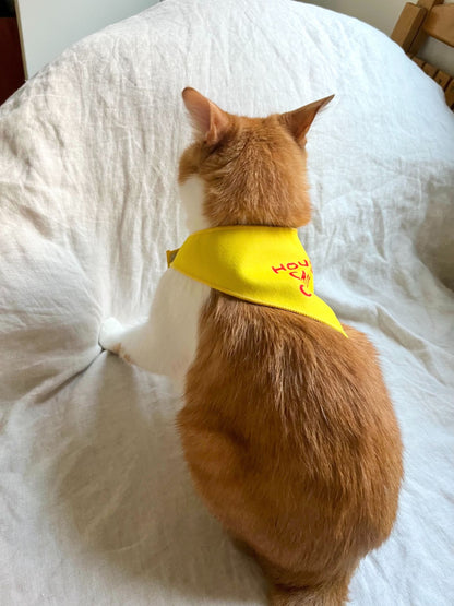 茶太郎：6.5kg