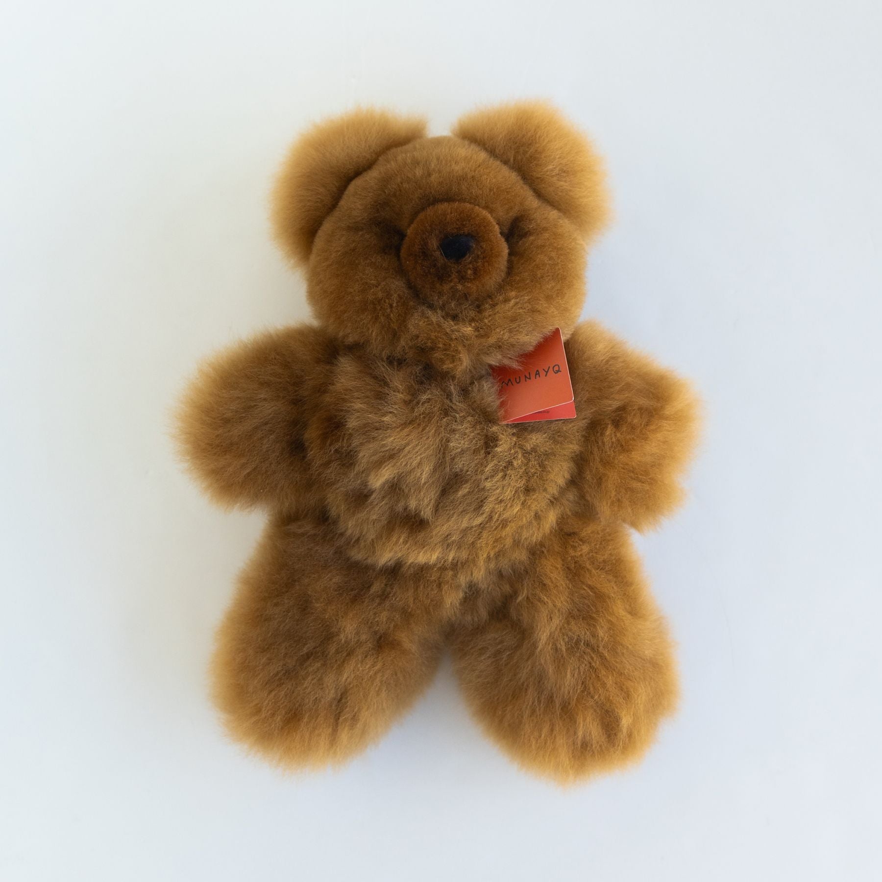 CAMEL／30cm