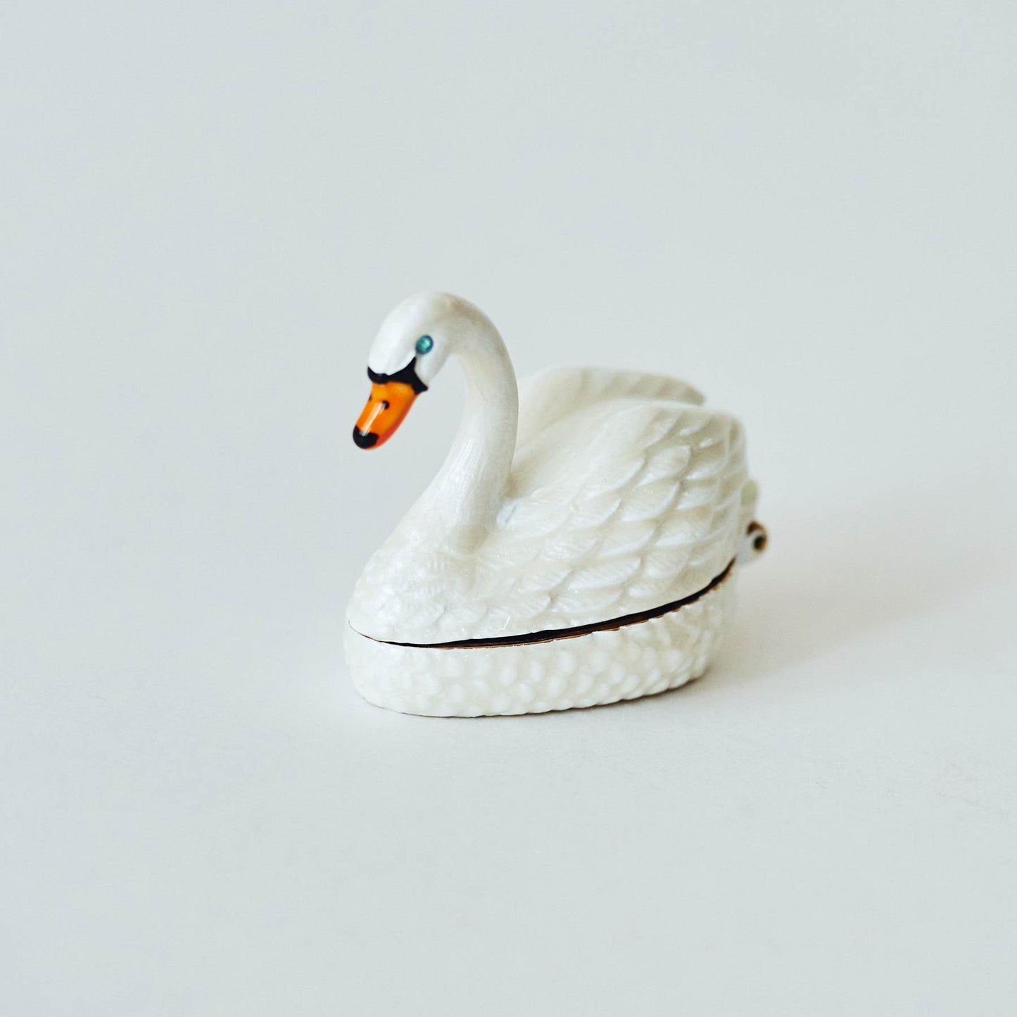 Swan