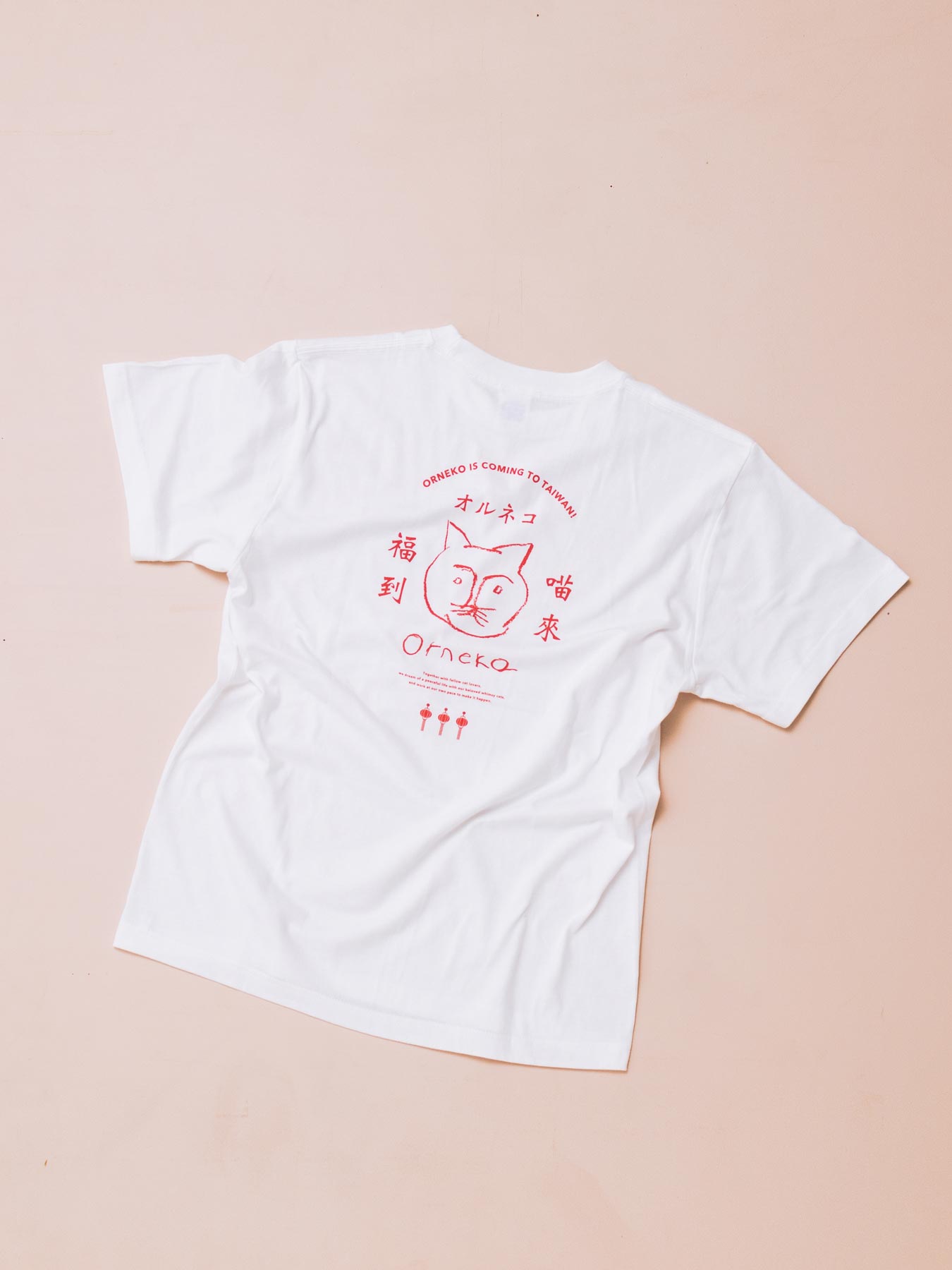 背面