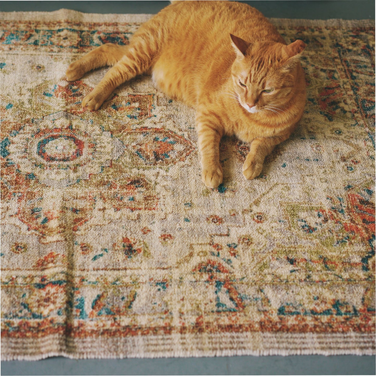 ヴィンテージ調プリントラグ（93×147cm）